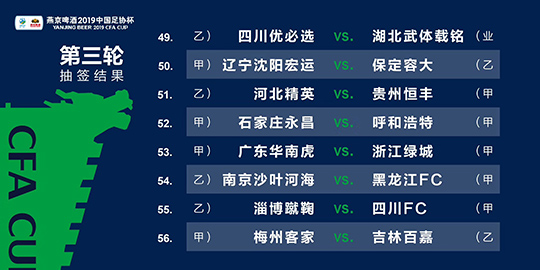 新澳门精准四肖期期中特公开,社会责任方案执行_升级版19.179