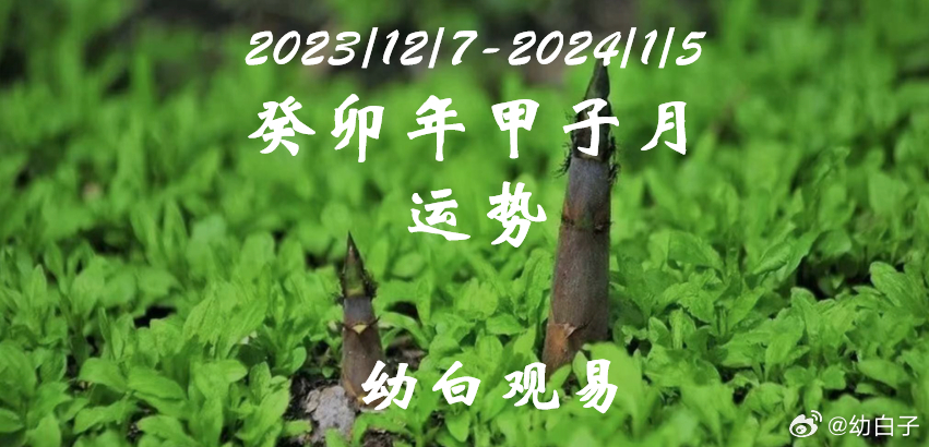 2024年管家婆一肖中特,＊ ＊＊财运＊＊：财运一般