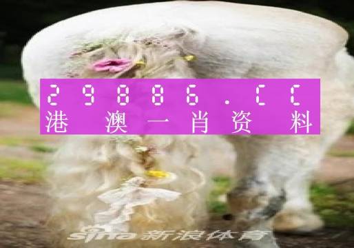 澳门精准四肖期期中特公开,深入解答解释定义_LE版33.696