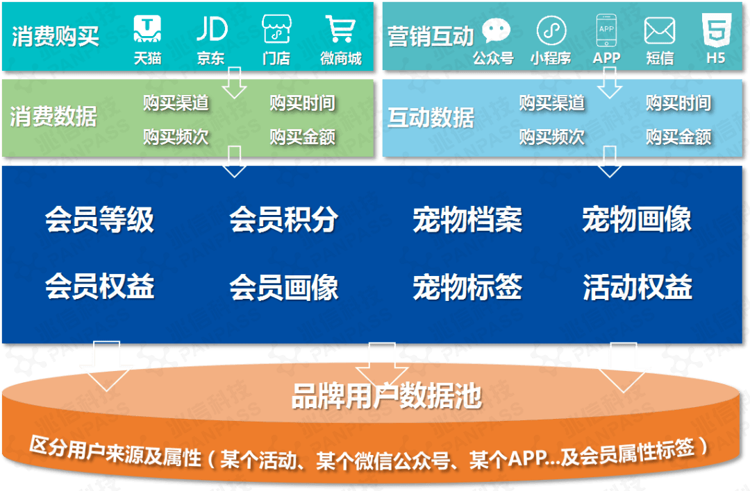 2024管家婆一码一肖资料,科学化方案实施探讨_运动版91.95