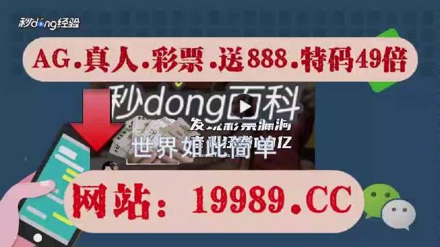 2024澳门天天六开彩免费资料,实时数据解释定义_AP43.15