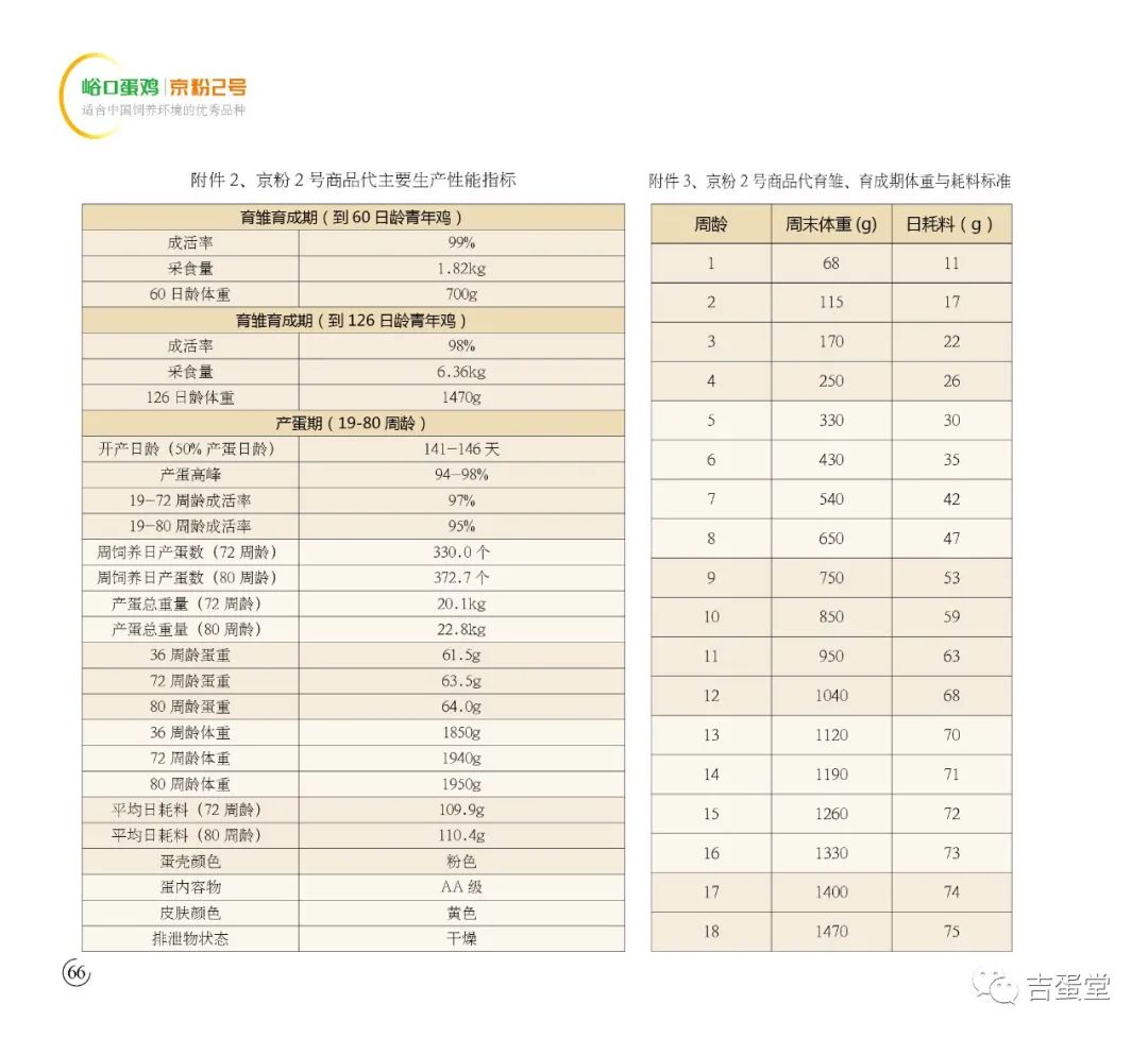 2024澳门今晚开奖号码香港记录,预测分析说明_W96.818