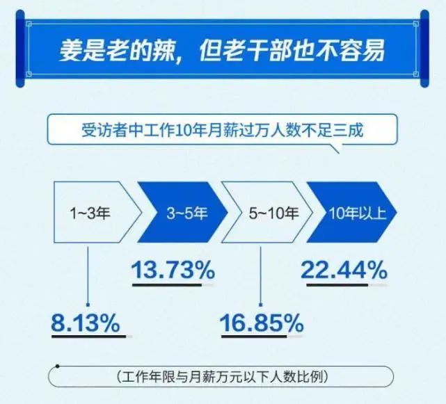 2024年新澳资料免费公开,专业数据解释定义_社交版24.973