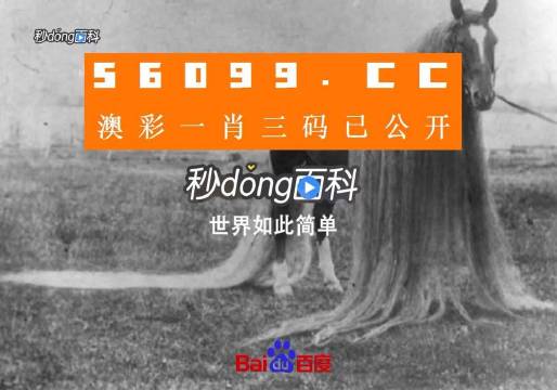 大三巴一肖一码中,精细设计解析_娱乐版84.319